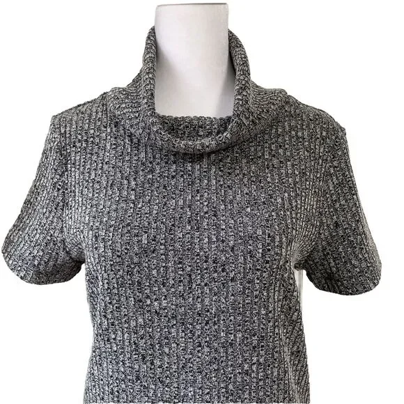 Lark and Ro Sweater Dress Knit Ribbed Short Sleeve Cowl Neck Large New w/o Tag - Picture 2 of 8